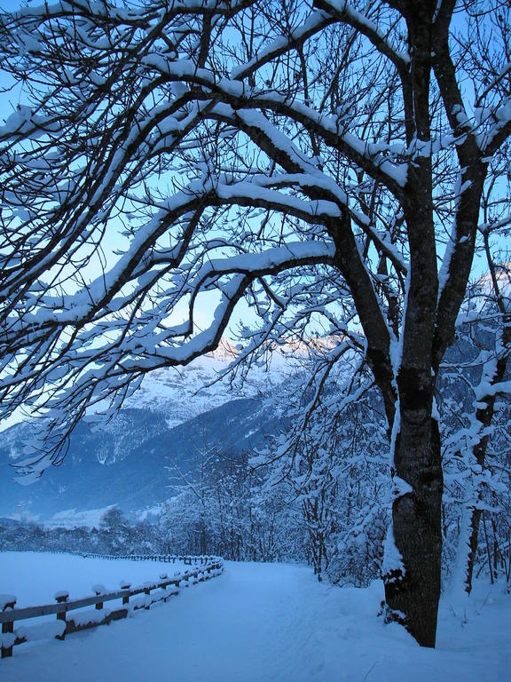 Haus Daniel Neustift im Stubaital